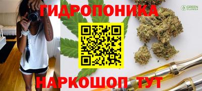 apvp Усть-Илимск